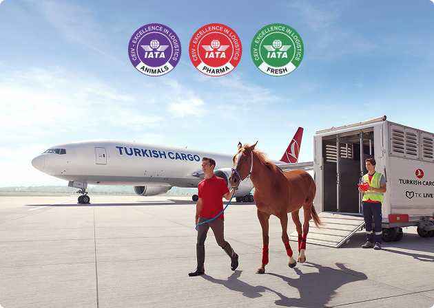 Üç CEIV Sertifikası