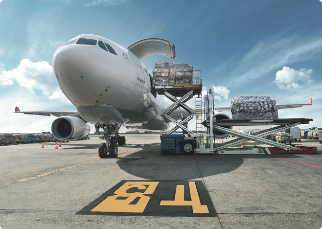 Dünya üçüncülüğü