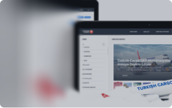 Digital Sales Channels