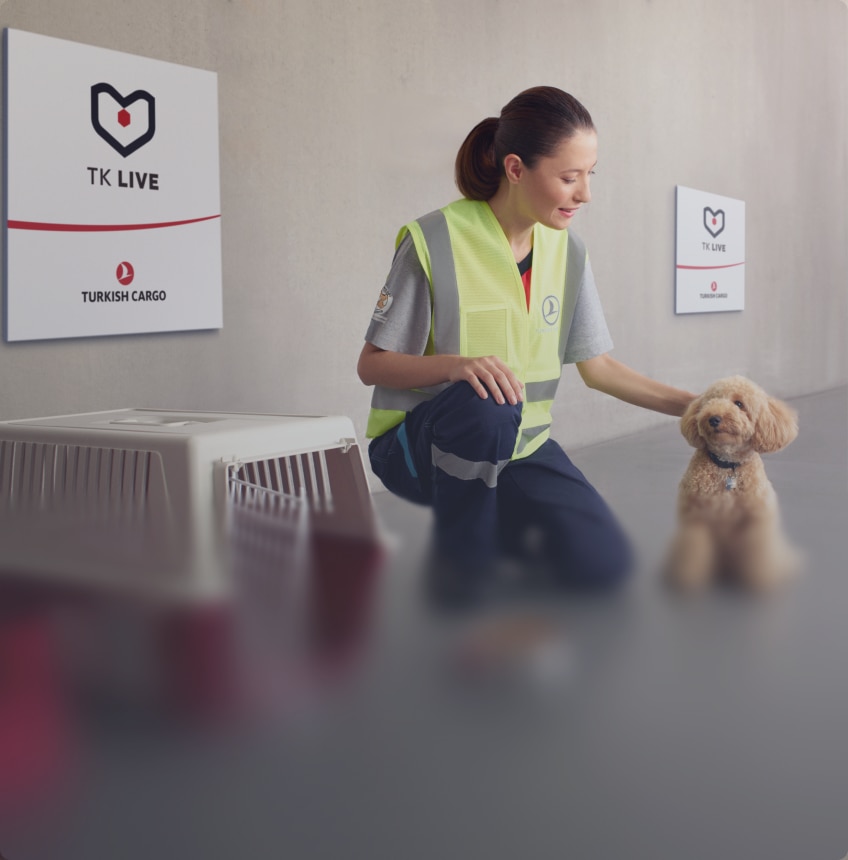 TK Live Pet Supervision