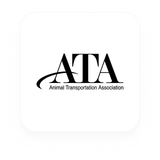 ATA