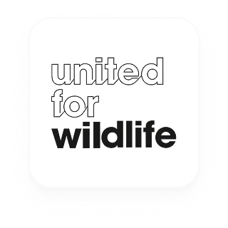 United For Wildlife