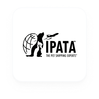 IPATA