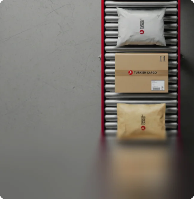 Fast shipping with priority across the world